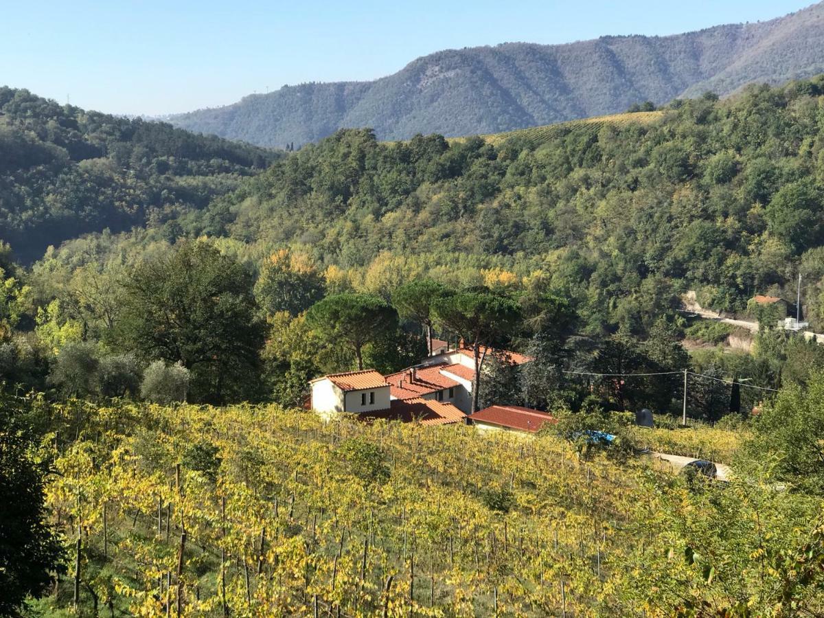 Appartement Il Poggiolo Ai Casini à Scopeti Extérieur photo